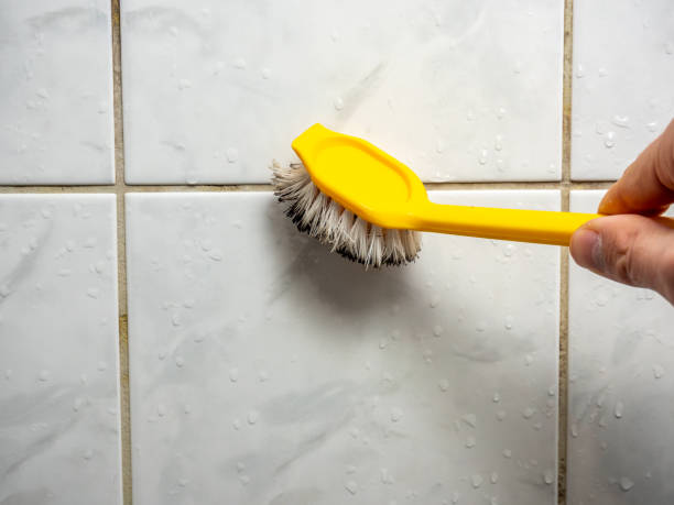 Best Mold Remediation  in Calhoun City, MS