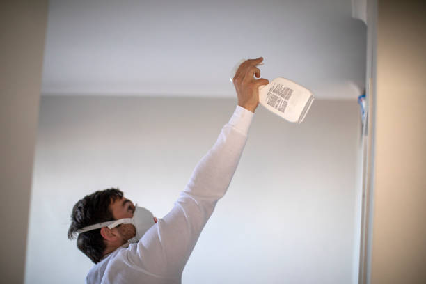 Best Toxic Mold Removal  in Calhoun City, MS